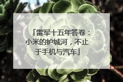 雷军十五年答卷：小米的护城河，不止于手机与汽车