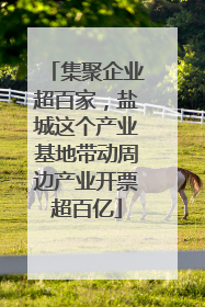 集聚企业超百家，盐城这个产业基地带动周边产业开票超百亿