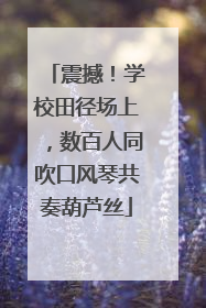 震撼！学校田径场上，数百人同吹口风琴共奏葫芦丝