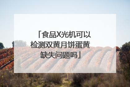 食品X光机可以检测双黄月饼蛋黄缺失问题吗
