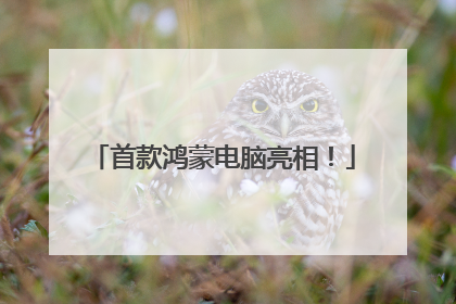 首款鸿蒙电脑亮相！