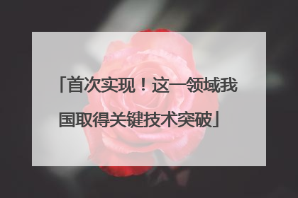 首次实现！这一领域我国取得关键技术突破