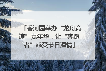 香河园举办“龙舟竞速”嘉年华，让“奔跑者”感受节日温情