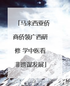 马来西亚侨商侨领广西研修 学中医看非遗谋发展