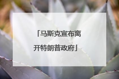 马斯克宣布离开特朗普政府