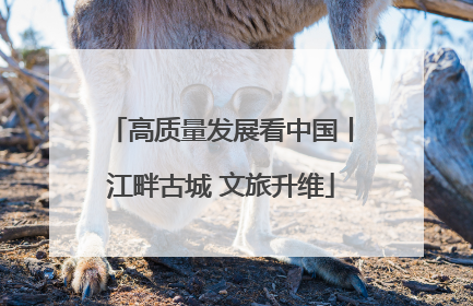 高质量发展看中国丨江畔古城 文旅升维