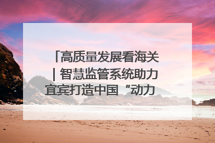 高质量发展看海关｜智慧监管系统助力宜宾打造中国“动力电池之都”