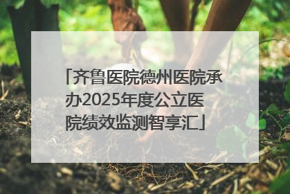 齐鲁医院德州医院承办2025年度公立医院绩效监测智享汇