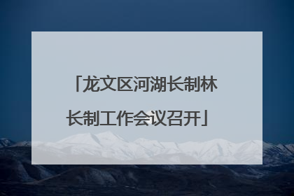 龙文区河湖长制林长制工作会议召开
