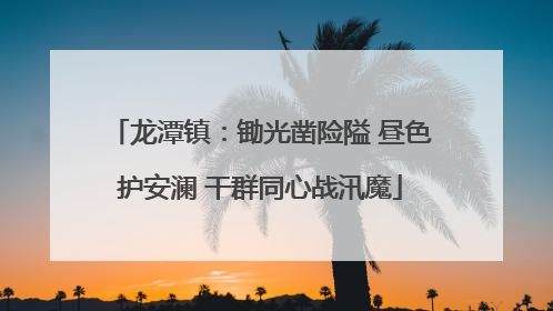 龙潭镇：锄光凿险隘 昼色护安澜 干群同心战汛魔