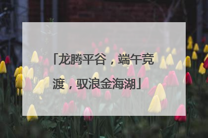 龙腾平谷，端午竞渡，驭浪金海湖