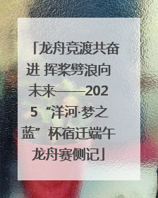 龙舟竞渡共奋进 挥桨劈浪向未来——2025“洋河·梦之蓝”杯宿迁端午龙舟赛侧记