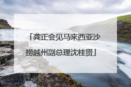 龚正会见马来西亚沙捞越州副总理沈桂贤