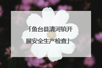 鱼台县清河镇开展安全生产检查