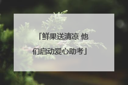 鲜果送清凉 他们启动爱心助考