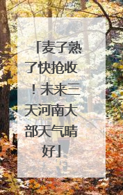 麦子熟了快抢收！未来三天河南大部天气晴好