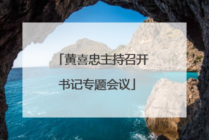 黄喜忠主持召开书记专题会议