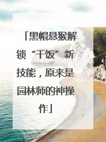 黑帽悬猴解锁“干饭”新技能，原来是园林师的神操作