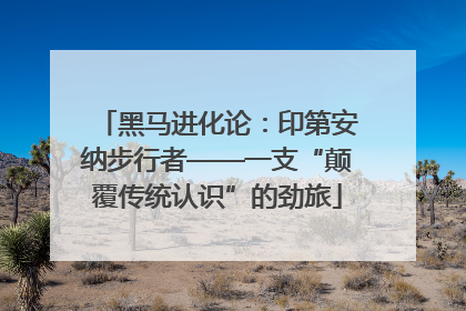 黑马进化论：印第安纳步行者——一支“颠覆传统认识”的劲旅