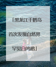 黑龙江千鹤岛首次发现自然界罕见白鸬鹚