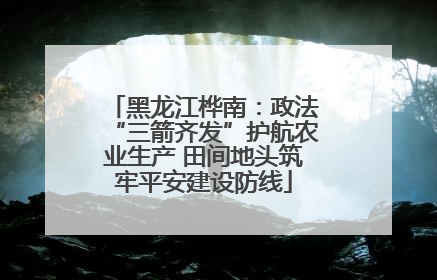 黑龙江桦南：政法“三箭齐发”护航农业生产 田间地头筑牢平安建设防线