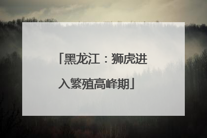 黑龙江：狮虎进入繁殖高峰期