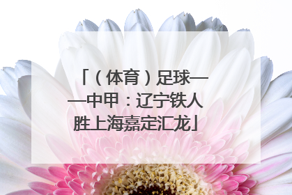 （体育）足球——中甲：辽宁铁人胜上海嘉定汇龙