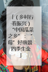 （乡村行·看振兴）“中国瓜菜之乡”：“莓”好前景 四季生金