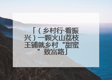 （乡村行·看振兴）一颗火山荔枝王铺就乡村“甜蜜”致富路