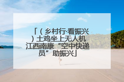 （乡村行·看振兴）土鸡坐上无人机 江西南康“空中快递员”助振兴
