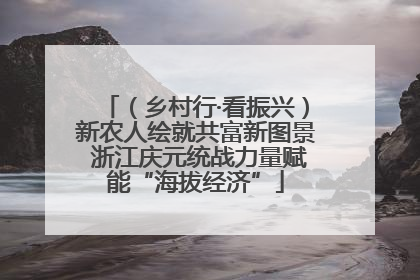 （乡村行·看振兴）新农人绘就共富新图景 浙江庆元统战力量赋能“海拔经济”