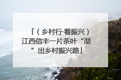 （乡村行·看振兴）江西信丰一片茶叶“沏”出乡村振兴路