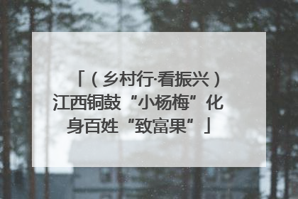 （乡村行·看振兴）江西铜鼓“小杨梅”化身百姓“致富果”