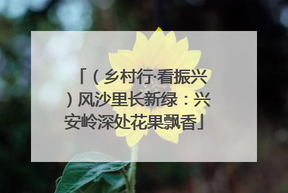 （乡村行·看振兴）风沙里长新绿：兴安岭深处花果飘香