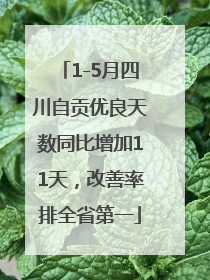 1-5月四川自贡优良天数同比增加11天，改善率排全省第一