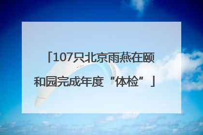 107只北京雨燕在颐和园完成年度“体检”