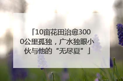 10亩花田治愈3000公里孤独，广水独眼小伙与他的“无尽夏”