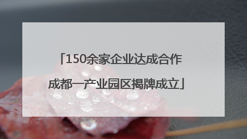 150余家企业达成合作 成都一产业园区揭牌成立