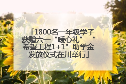 1800名一年级学子获赠六一“暖心礼” “希望工程1+1”助学金发放仪式在川举行