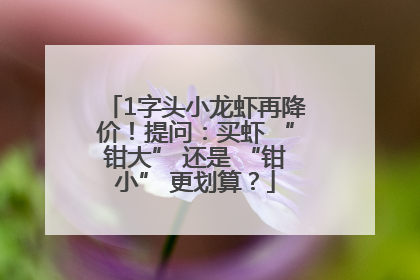 1字头小龙虾再降价！提问：买虾 “钳大” 还是 “钳小” 更划算？