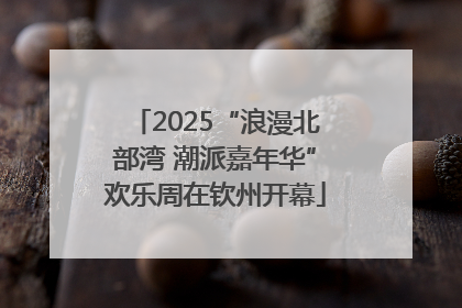 2025“浪漫北部湾 潮派嘉年华”欢乐周在钦州开幕