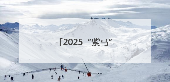 2025“紫马”奖牌、服装亮相啦→快来一睹风采吧！