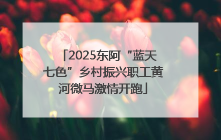 2025东阿“蓝天七色”乡村振兴职工黄河微马激情开跑