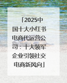 2025中国十大小红书电商代运营公司：十大领军企业引领社交电商新风向