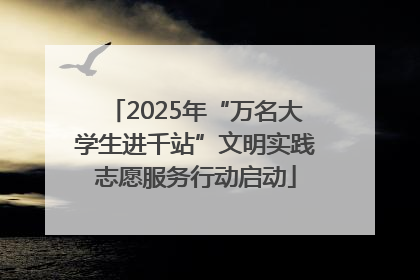 2025年“万名大学生进千站”文明实践志愿服务行动启动