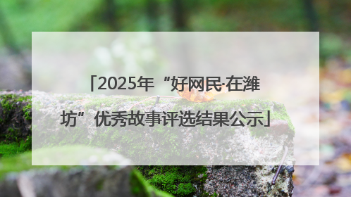 2025年“好网民·在潍坊”优秀故事评选结果公示