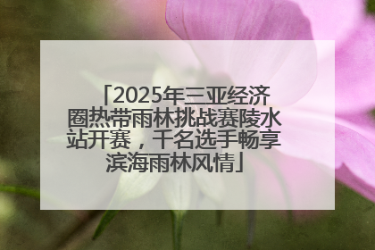 2025年三亚经济圈热带雨林挑战赛陵水站开赛，千名选手畅享滨海雨林风情