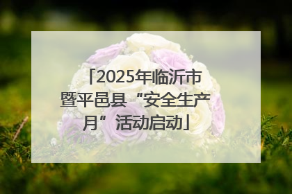 2025年临沂市暨平邑县“安全生产月”活动启动