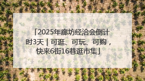 2025年廊坊经洽会倒计时3天｜可逛、可玩、可购，快来6街16巷逛市集