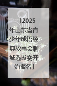 2025年山东省青少年成语经典故事会聊城选拔赛开始报名